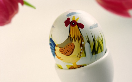 pictured egg - funny, pretty, bird, spring, egg, rooster, easter, decoration, pictured, drawn, colors