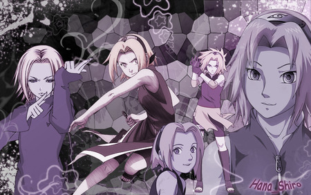 Sakura Haruno - anime, sakura, girl, cool, pink, animes, manga, naruto shippuuden, purple, naruto, sakura haruno