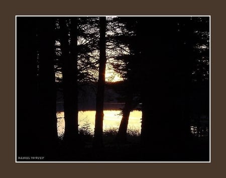 Wood Sunset - wood sunset, danieltowsey