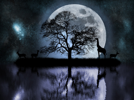 La isla de los animalitos - moon, water, reflection, animals