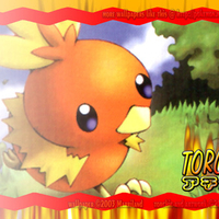 Torchic Wallpaper