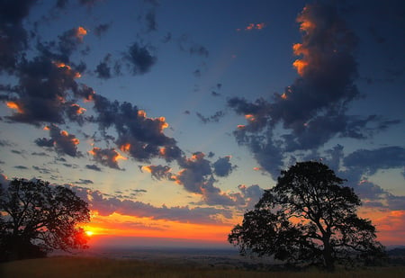 Natures canvas - clouds, trees, water, gold, sky sunset