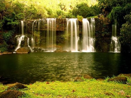 Waterfall - waterfall, rainforest