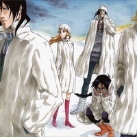 Bleach - Snow