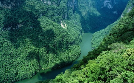 Cañón del Sumidero - rain forest, forest, mountains, canon del sumidero