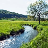 River running through meadow in Bayern, Bavaria, Germany