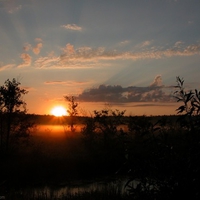 Sunrise In Asia