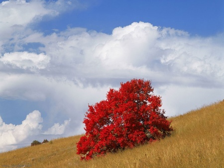 Autumn In Europe - autumn