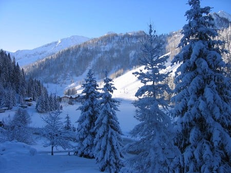 Snow Covered Trees - white, trees, mountain, snow, blue, cabin