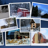 Winter Barns