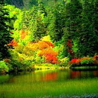 Nature Wallpaper