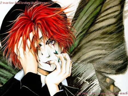 Angel Sanctuary - anime, joker, angel sanctuary