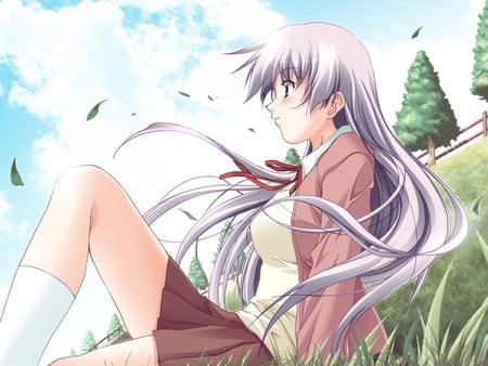 Sitting In The Grass - sky, trees, anime, grass, wind