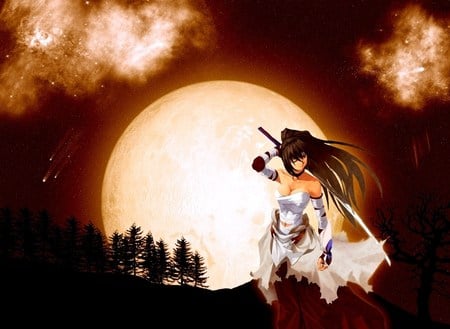 Full Moon - moon, warrior, full moon, clouds, anime