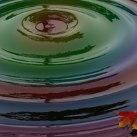 Rainbow water ripple with a leaf