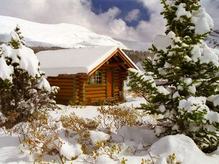 Winter Lodge - cold, lodge, snow, winter, tree