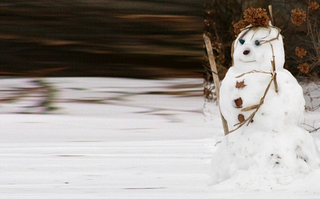 Snowman in the wild (wds) / Schneemann in freier Wildbahn - widescreen, snowman, winter, cold, snow, wds