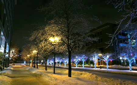 Avenue Mc Gill College - widescreen, avenue, winter, photography, snow, wds, night, light