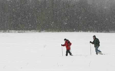 Cross Country Skiing in Cap St. Jacques - skiinng, wds, winter, widescreen, st jaques