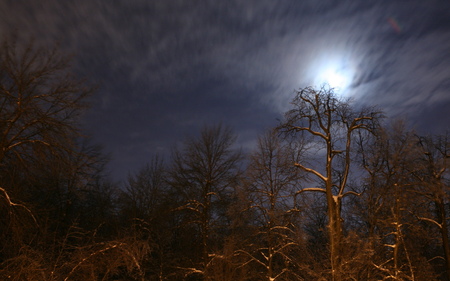 Moon Clouds - widescreen, clouds, winter, cold, snow, wds, tree