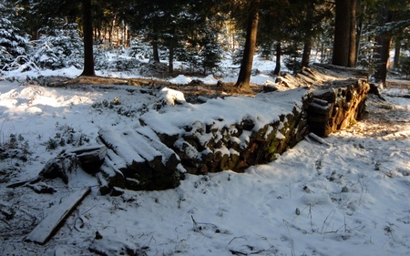 Same Woodpile - winter, tree, widescreen, woodpile, wds, snow, cold