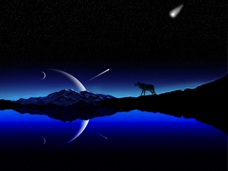 Night Light - lake, stars, reflection, water, animal