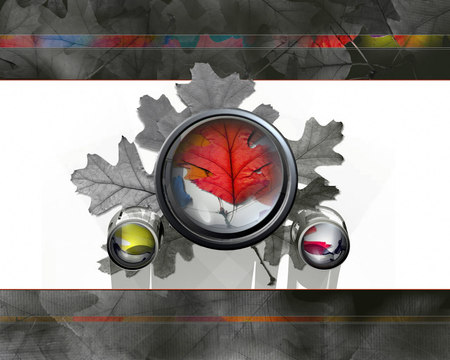 Autumn Fall Colors - 3d and cg, leaf, colored leaf, autumn