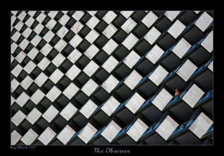 The Observer  - black, white, blue, cubes, windows, building