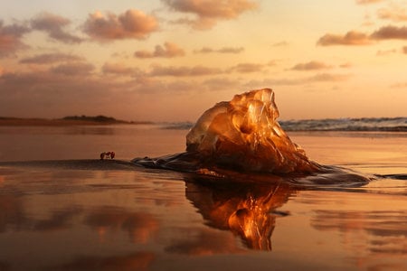 David vs  Goliath - sand, sky, ant, water, beach, sunset, sea, sun