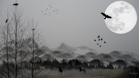 Fog in the Grasslands - horses, moon, trees, fantassy, fog, field, widescreen, birds