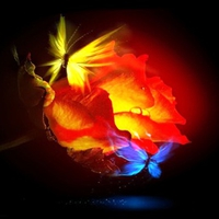 Ember Rose Butterfly Love