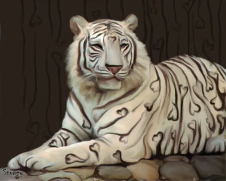 Love Tiger  - black, white, tiger, wild, cat, big cat