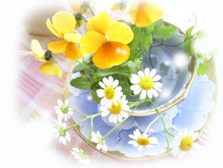 Looking into a vase - vine, yellow, blue, clear, flowers, daisies, vase