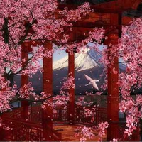Japanese cherry