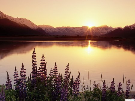 Turnagain Arm Chugach State Park Alaska - sunset, nature, alaska, cool, love, lakes, mountain