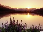 Turnagain Arm Chugach State Park Alaska