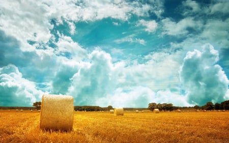 Bales - clouds, trees, bales, sky