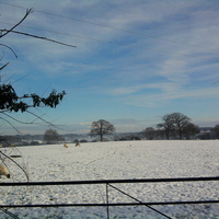 Snowy field