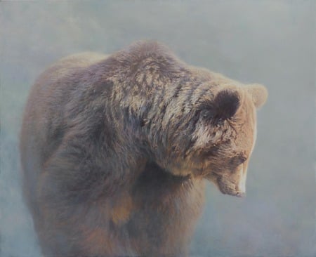 Grizzly in the mist - snow, bear, grizzly, mist