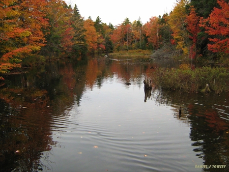 Fall Colors - fall colors, danieltowsey