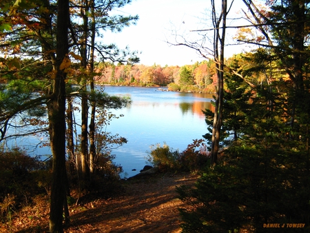 Fall Colors - danieltowsey, fall colors