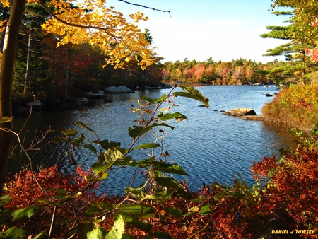 Fall Colors - fall colors, danieltowsey