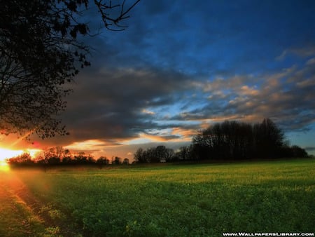 End to a glorious day - rays, field, trees, sunset, grass