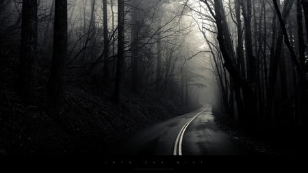 Into The Mist - road, forest, darkness, dark