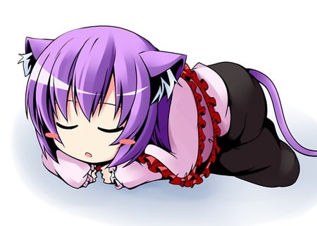 touhou - ichimi, neko, white, sleep, touhou, purple, funny, cute, cats