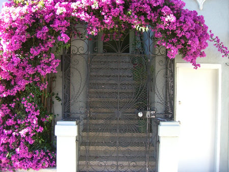 Come in - flowers, gate, door