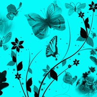 Butterfly Floral