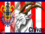 CHIVAS