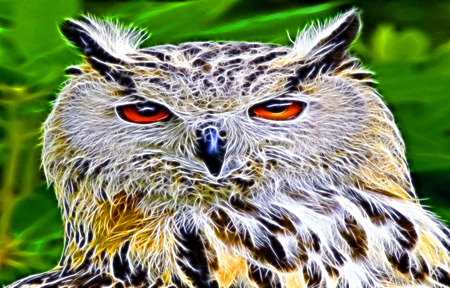 Eagle Owl