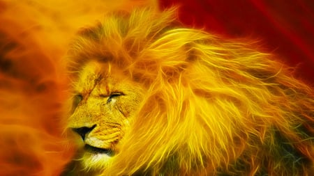 Lion King - beauty, fractal, abstract, lion, animals, colorful, lovely